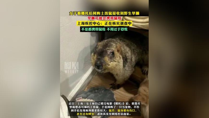 胖东来回应所售内裤掉色,2025新澳门资料正板管家婆,前瞻性战略落实探讨_视频版V7.6