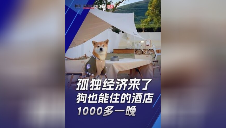 2024年存款保险基金收支情况,澳门管家婆免费资料查询第13期,广泛的解释落实支持计划_精简版V5.1